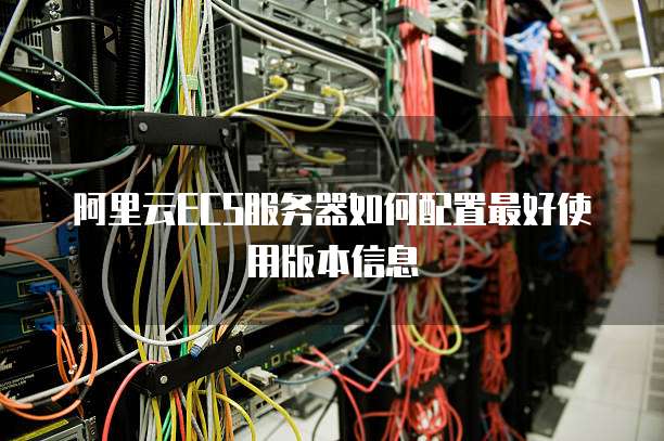 阿里云ECS服务器如何配置最好使用版本信息