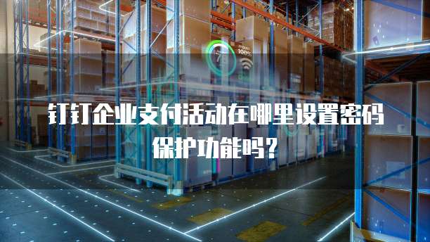 钉钉企业支付活动在哪里设置密码保护功能吗?