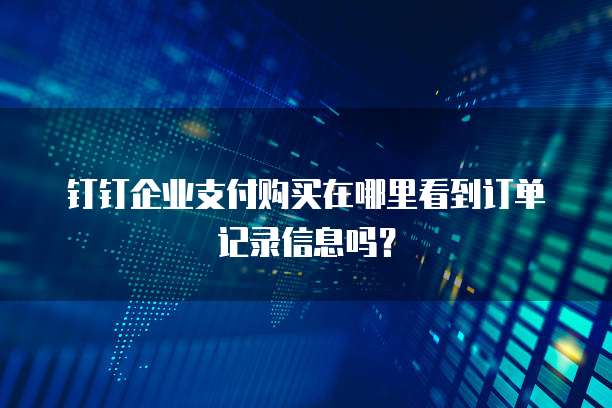钉钉企业支付购买在哪里看到订单记录信息吗?