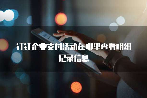 钉钉企业支付活动在哪里查看明细记录信息