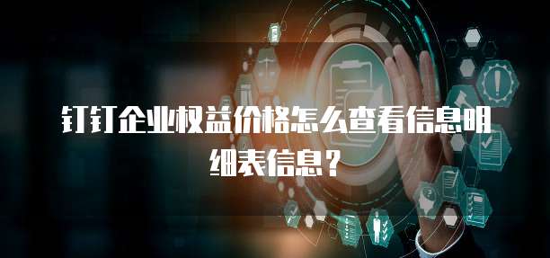 钉钉企业权益价格怎么查看信息明细表信息？