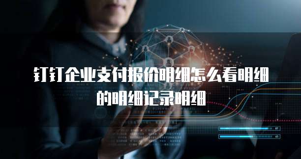 钉钉企业支付报价明细怎么看明细的明细记录明细