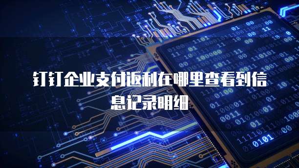 钉钉企业支付返利在哪里查看到信息记录明细