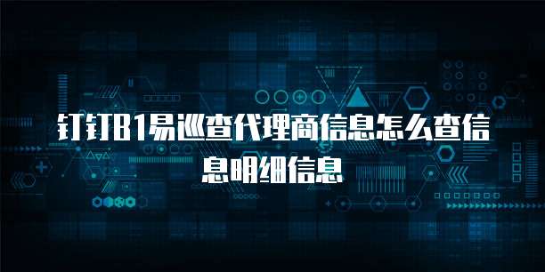 钉钉B1易巡查代理商信息怎么查信息明细信息