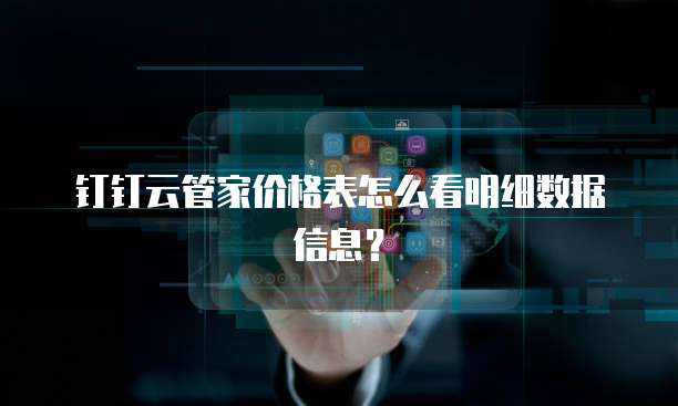 钉钉云管家价格表怎么看明细数据信息?
