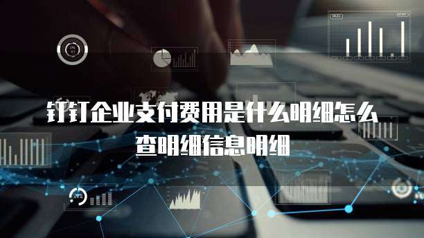 钉钉企业支付费用是什么明细怎么查明细信息明细