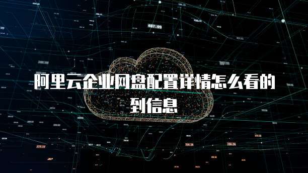 阿里云企业网盘配置详情怎么看的到信息
