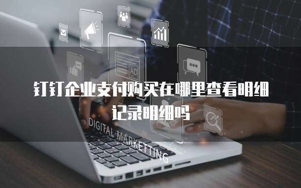 钉钉企业支付购买在哪里查看明细记录明细吗