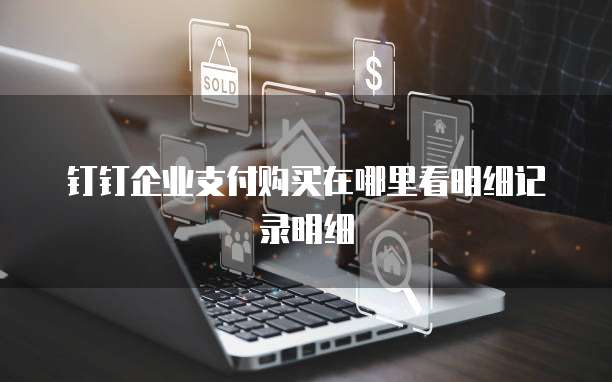 钉钉企业支付购买在哪里看明细记录明细
