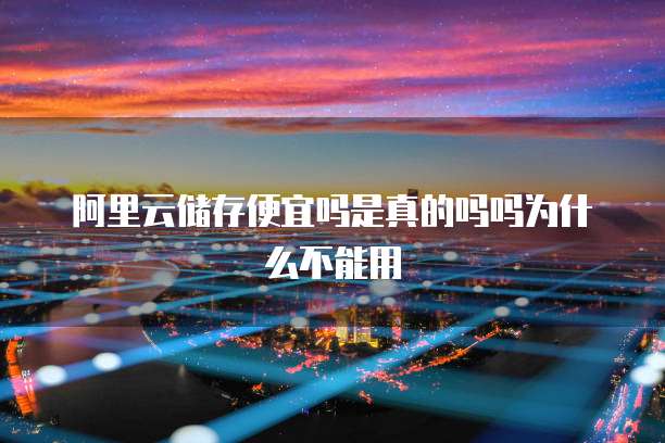 阿里云储存便宜吗是真的吗吗为什么不能用
