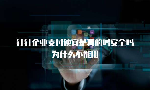钉钉企业支付便宜是真的吗安全吗为什么不能用