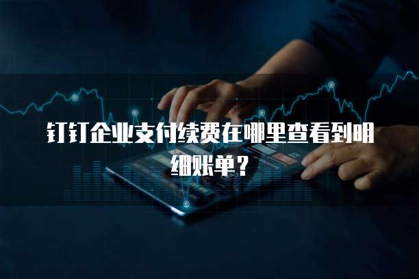 钉钉企业支付续费在哪里查看到明细账单?
