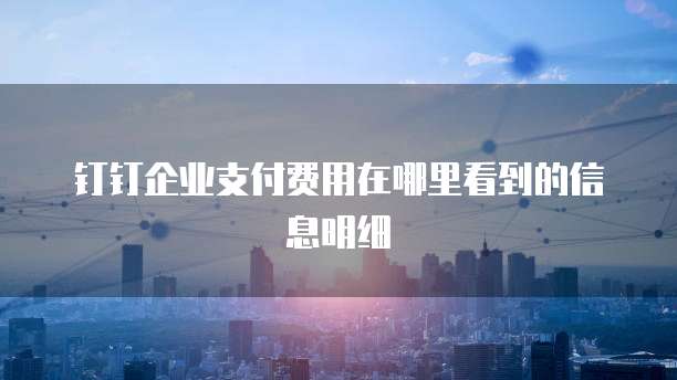 钉钉企业支付费用在哪里看到的信息明细