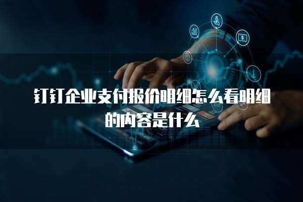 钉钉企业支付报价明细怎么看明细的内容是什么
