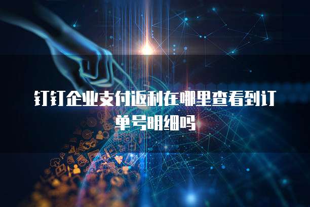 钉钉企业支付返利在哪里查看到订单号明细吗