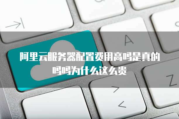 阿里云服务器配置费用高吗是真的吗吗为什么这么贵