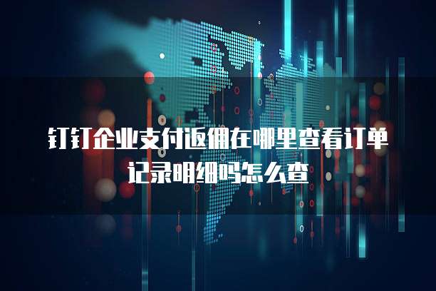 钉钉企业支付返佣在哪里查看订单记录明细吗怎么查