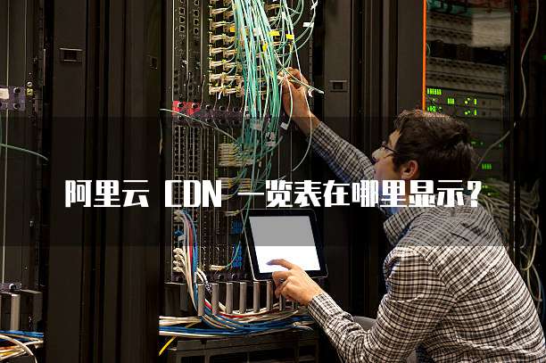 阿里云 CDN 一览表在哪里显示?