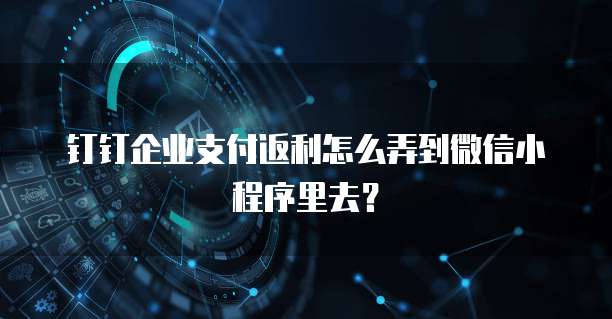 钉钉企业支付返利怎么弄到微信小程序里去？