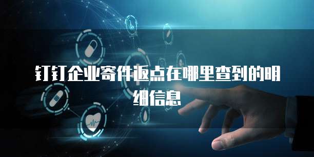 钉钉企业寄件返点在哪里查到的明细信息