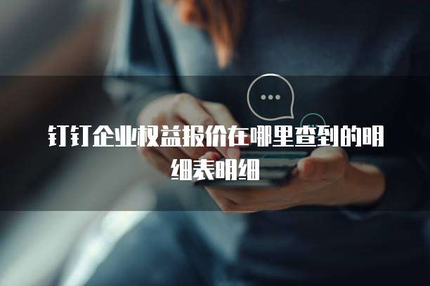 钉钉企业权益报价在哪里查到的明细表明细