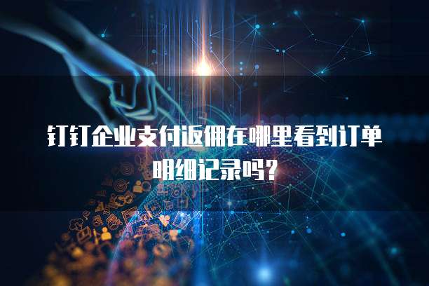 钉钉企业支付返佣在哪里看到订单明细记录吗?