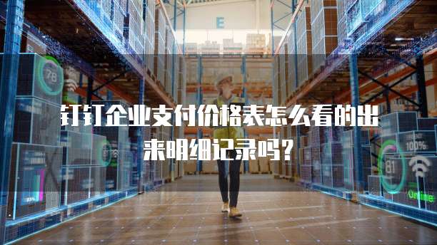 钉钉企业支付价格表怎么看的出来明细记录吗?