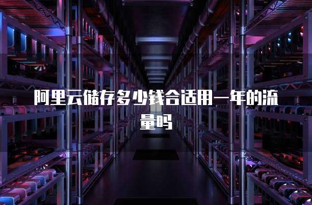 阿里云储存多少钱合适用一年的流量吗