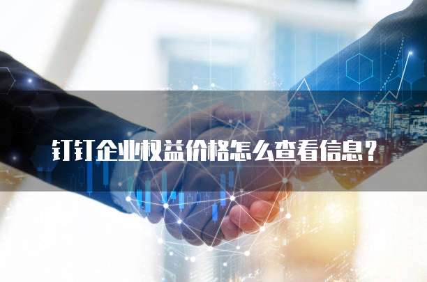 钉钉企业权益价格怎么查看信息?