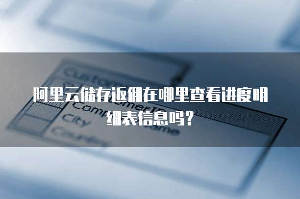 阿里云储存返佣在哪里查看进度明细表信息吗?