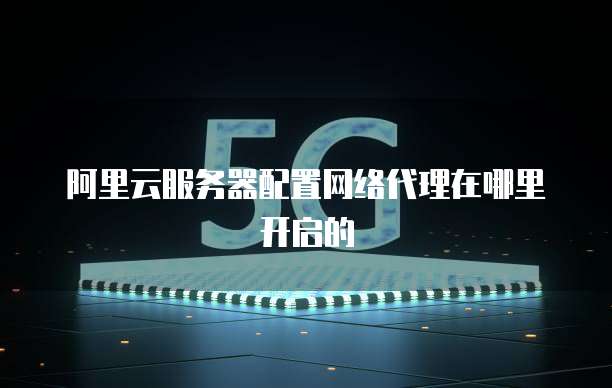 阿里云服务器配置网络代理在哪里开启的