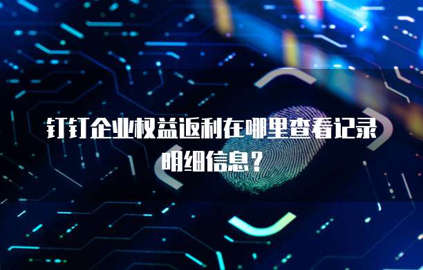 钉钉企业权益返利在哪里查看记录明细信息?