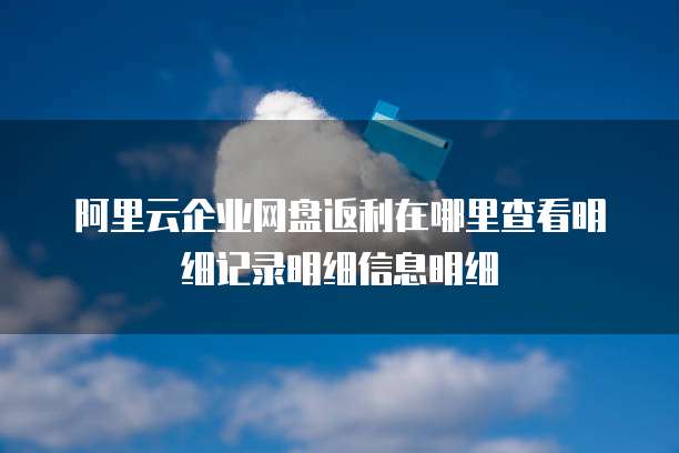 阿里云企业网盘返利在哪里查看明细记录明细信息明细