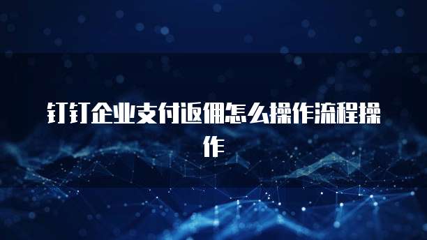 钉钉企业支付返佣怎么操作流程操作