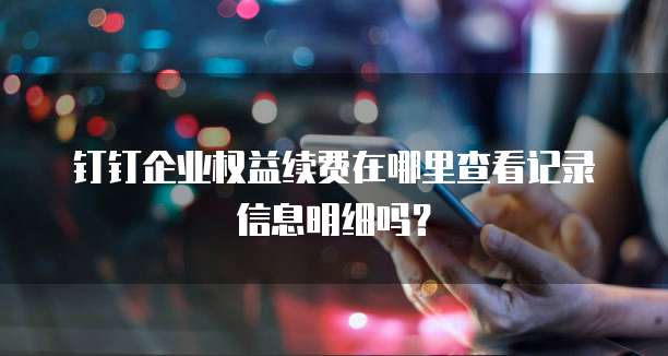钉钉企业权益续费在哪里查看记录信息明细吗?