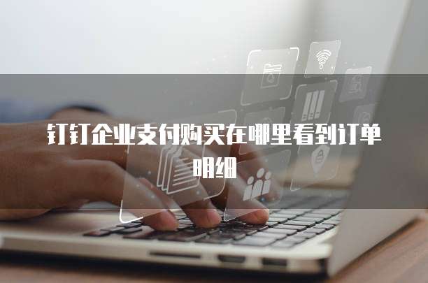 钉钉企业支付购买在哪里看到订单明细