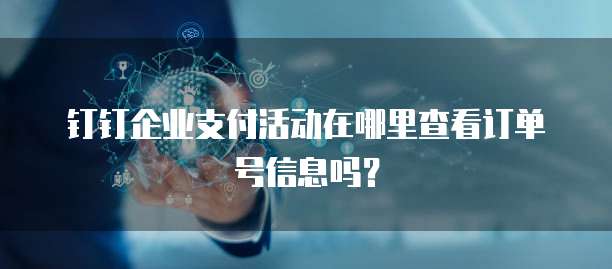 钉钉企业支付活动在哪里查看订单号信息吗?