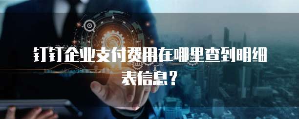 钉钉企业支付费用在哪里查到明细表信息?