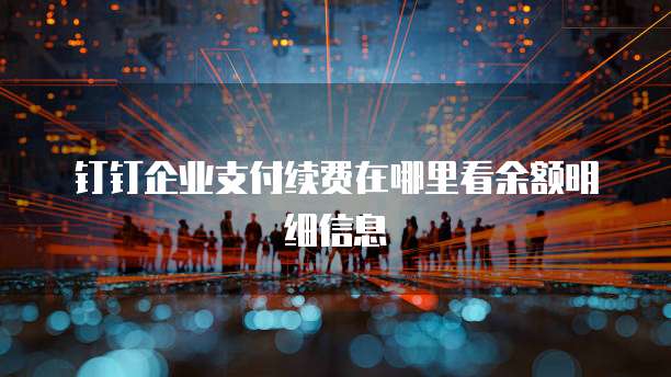 钉钉企业支付续费在哪里看余额明细信息