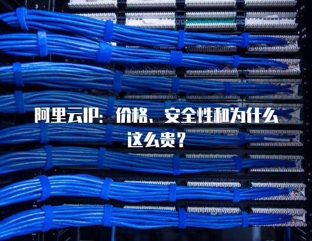 阿里云IP:价格、安全性和为什么这么贵?