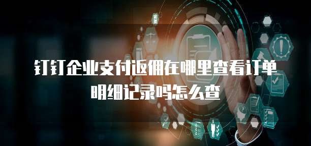 钉钉企业支付返佣在哪里查看订单明细记录吗怎么查