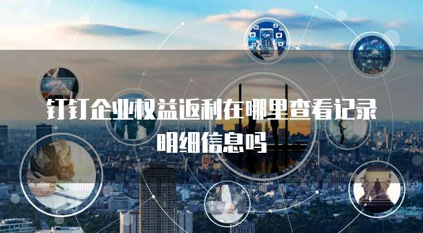 钉钉企业权益返利在哪里查看记录明细信息吗