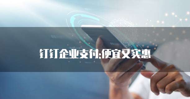 钉钉企业支付:便宜又实惠