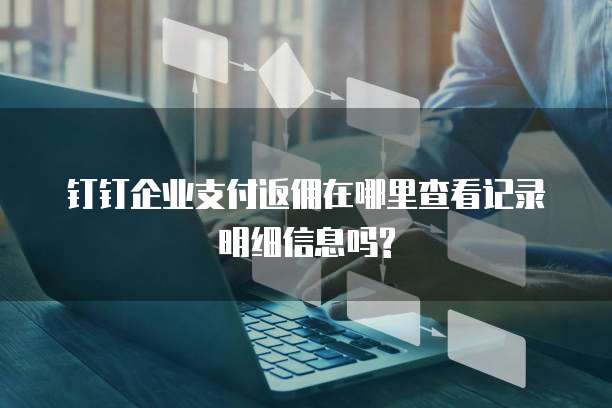 钉钉企业支付返佣在哪里查看记录明细信息吗?