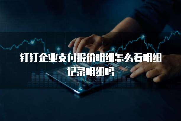 钉钉企业支付报价明细怎么看明细记录明细吗