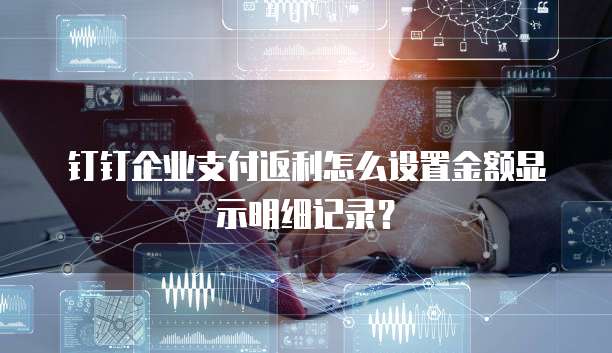钉钉企业支付返利怎么设置金额显示明细记录?