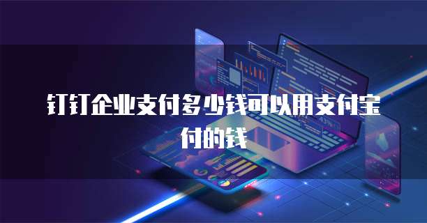 钉钉企业支付多少钱可以用支付宝付的钱