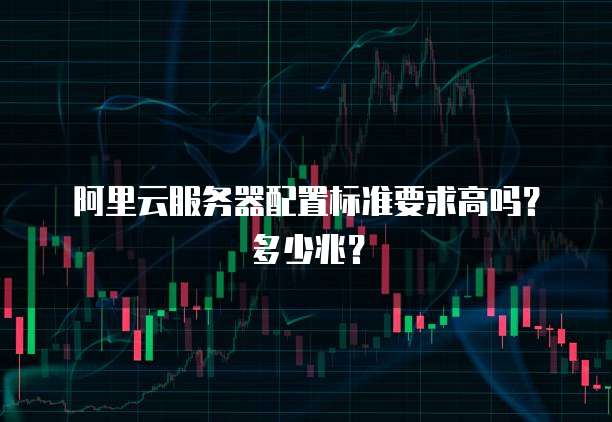 阿里云服务器配置标准要求高吗？多少兆？