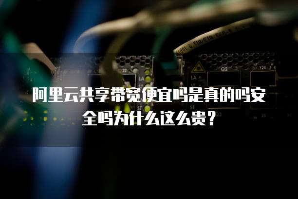 阿里云共享带宽便宜吗是真的吗安全吗为什么这么贵?