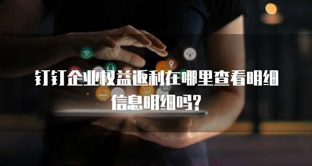 钉钉企业权益返利在哪里查看明细信息明细吗?